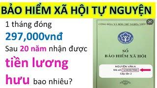 Đóng Bảo Hiểm Xã Hội Tối Thiểu 1 Tháng Bao Nhiêu Tiền? |My Money