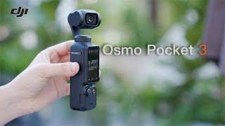 一英寸史诗级增强，DJI Osmo Pocket 3这三年等得值！