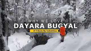 Why We Love Dayara Bugyal Trek | A Tribute by Indiahikes