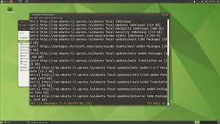 How to update and upgrade packages in Linux (Ubuntu/Debian) with one command