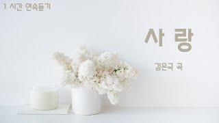 사랑 - 김은국 곡 | 1 시간 연속듣기 | 중앙성가 21집