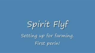 Spirit Flyff Setup for Coral farming