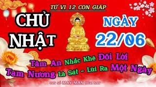 Tử Vi Ngày 22/06 Của 12 Con Giáp | Tâm An Nhắc Khéo Đôi Lời - Tam Nương Là Sát, Lùi Ra Một Ngày !