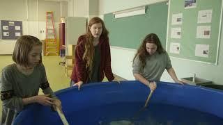 Cape Hatteras Secondary School Hatchery Program