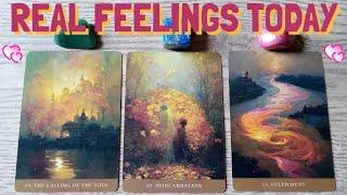 WHAT ARE THEIR REAL FEELINGS FOR YOU TODAY? PICK A CARD: TIMELESS LOVE TAROT