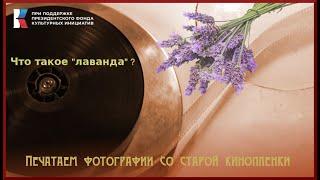 Какую кинопленку называют "лаванда"? Почему её нельзя перематывать? Готовимся к весенней выставке.