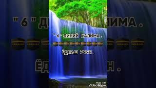 " 6 "ДИНИЙ КАЛИМА , ЁДЛАШ УЧУН ЖУДА АЖОЙИБ БИР КӮРИНГ 