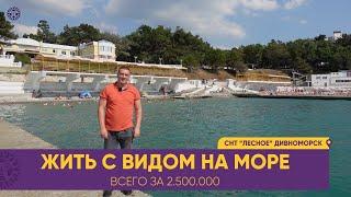 Купить ЗЕМЕЛЬНЫЙ УЧАСТОК в Геленджике с видом на море недорого. СНТ Лесное село Дивноморское.