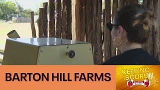 Keeping Score: Barton Hill Farms Fall Festival | FOX 7 Austin