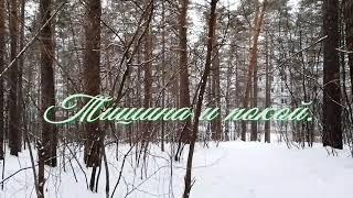 День Тишины и Покоя.