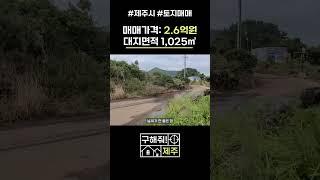 제주도부동산 종달리 토지매매 / 매매가: 2.6억원 / 평당 약80만원 정도!! / 제주바다 150m 앞 / 해안도로 100m 앞  [ep. 구해줘 제주] #shorts