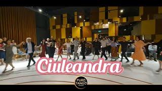 Ciuleandra