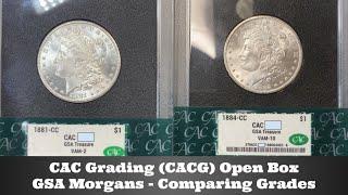 CAC Grading (CACG) Open Box - GSA Treasure Morgan Dollars - Ignoring VAMs, Comparing Grades