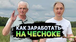 Выращивание ЧЕСНОКА | Все стадии от подготовки почвы до урожая