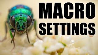 How to Master Settings in Macro Photography