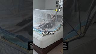  예민한 사람들은 공감하는 여름꿀템 Top5 ️