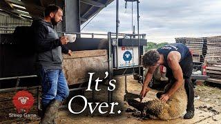 THE LAST DAY OF MY UK SHEEP SHEARING SEASON