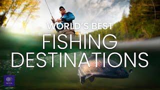 Best Fishing Trips | Top 10 Fishing Trips in the World | Best Fishing Destinations in the World