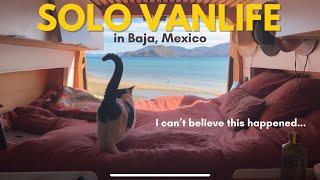 Solo Van Life in Mexico: I Didn’t Expect This to Happen