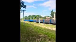  Западная Украина валит леса ради Европы