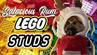 LIVE - LEGO STUDS & BRICK BABES with Salacious Rum