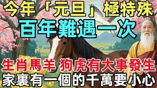 今年「元旦」極特殊！百年難遇一次！生肖馬，羊，狗、虎有大事發生！家裏有一個的千萬要小心！#生肖#生肖運勢#命理#風水#十二生肖#元旦#禅心语录