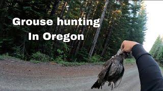 Grouse Hunting | Catch and cook blue grouse in the beautiful Oregon mountains