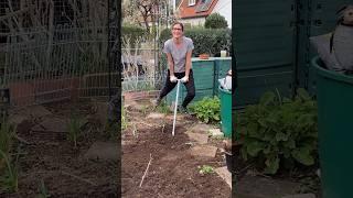 Pflanzbereit in 3 Schritten - Beet tiefenlockern & aufbereiten #gartenmoni  #garten