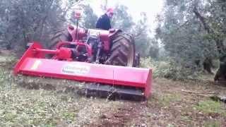 IDEAL MULCHER SHREDDER FOR PRUNED OLIVE BRANCHES - TRACTOR