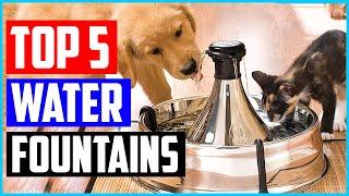 Top 5 Best Pet Water Fountains in 2021