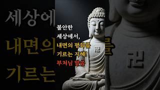 불안한 세상에서, 내면의 평화를 기르는 지혜! #부처님말씀 #불교명상