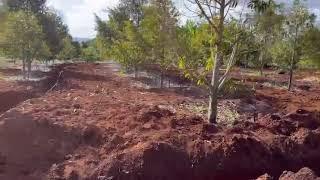 BÉC  BÙ ÁP VP10 TƯỚI SẦU RIÊNG