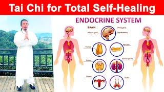 Tai Chi for Self-Healing: Balance Your Endocrine System Naturally