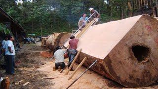 Amazing Fastest Chainsaw Cutting Tree Machines, Incredible Automatic Wood Cutting Sawmill Machines