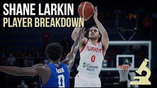 Every Small Guard Should Be STUDYING Shane Larkin