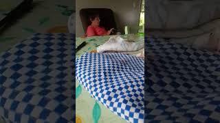 17 de fevereiro de 2025