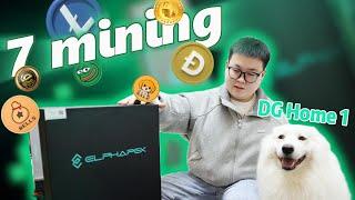 The home DOGECOIN Miner machine that you are most eager to buy! ELPHAPEX DG Home 1