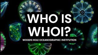 Who is WHOI? | Twilight Zone at ARTECHOUSE