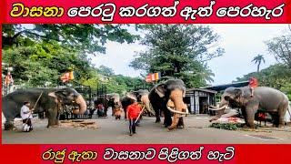 King Wasana & Sinha Raja ️ වාසනා පෙරටු කර ගනිමින් ඇත් පෙරහැර  #elephant #wasana #sinharaja