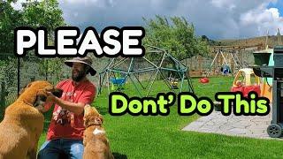 The WORST Things You Could Do To A Summer Lawn