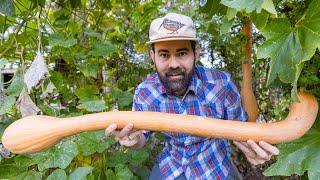 Fall Garden Tour 2024 | Guest Pineal Founder, Noah Curtis