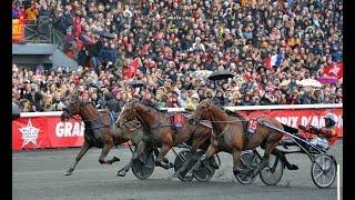 Live Turf du 02/02/2025 : Vincennes, Cagnes sur Mer et Saint Galmier. Quinté+ à 15h15