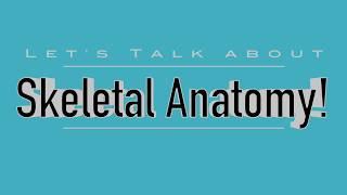 Skeletal Anatomy Dogs, Cats, Horses, Cows (VETERINARY TECHNICIAN EDUCATION)