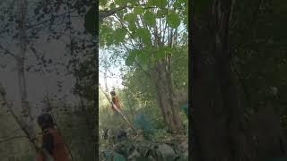 INVISIBLE GHILLIE DESTROY FROM A MTW WOLVERINE