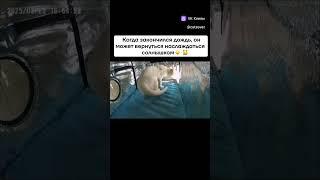 добрая история, хороший сюжет