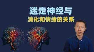 迷走神经与消化和情绪的关系（激活迷走神经的10个方法）