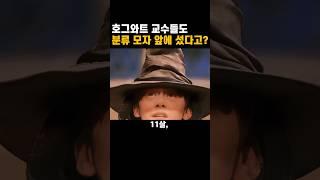 호그와트 교수들도 분류 모자 앞에 섰다고? | 해리포터 교수 시리즈 1