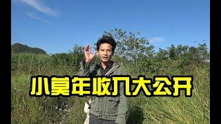 小莫一年能赚多少钱，第一次公开总收入，这数字让小莫开了花【壮乡小莫】