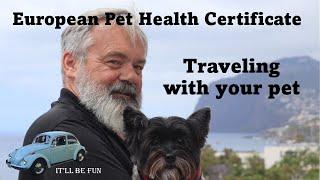 Taking Your Pet Abroad When Moving Is a Process  | Madeira Island Portugal | @ItllBeFun