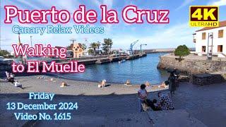 Tenerife ️ Puerto de la Cruz 13 December 2024 Teneriffa